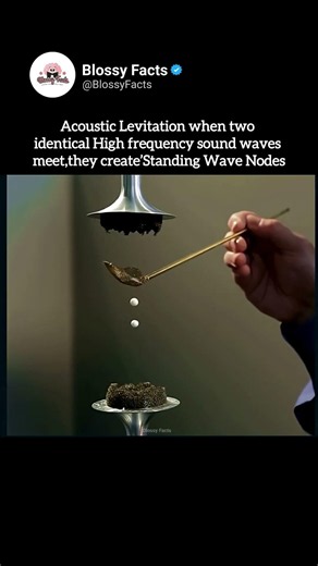 Tech that suspends matters in air 🔊 #physics #science #experiment