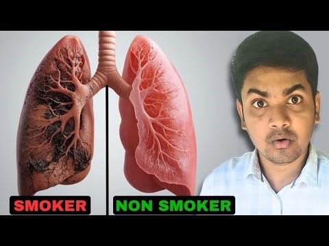 How Smoking K*LLS ?// PRUTHIRAJ
