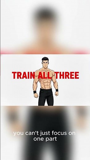 Build that 3d shoulder all shoulder muscle covered