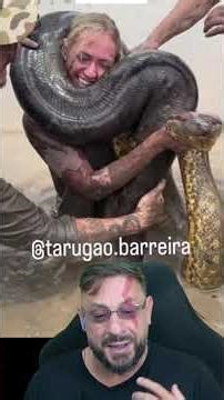 Biologist Henrique #biologisthenrique #animals #smartanimals #biologist