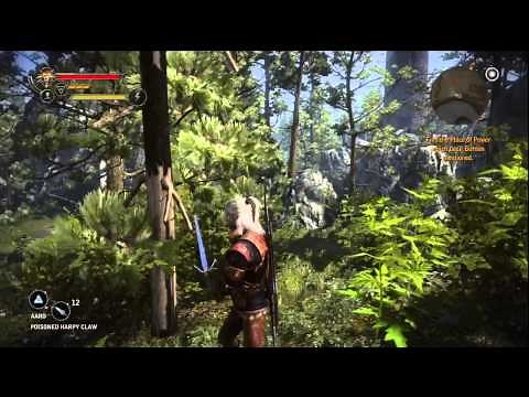 The Witcher 2: Find the Place of Power that Cecil Burdon Mentioned