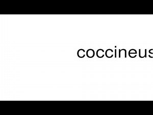 How to pronounce coccineus