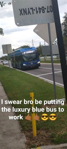 2016 New Flyer XN60 on route 8 Bus #231