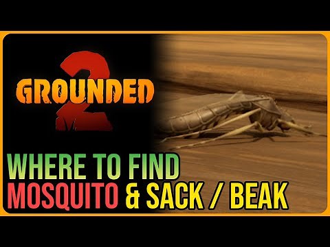 Mosquito Locations – Grounded 2 – How to Get Mosquito Beak, Sack