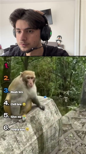 Nummer 3 war zu viel