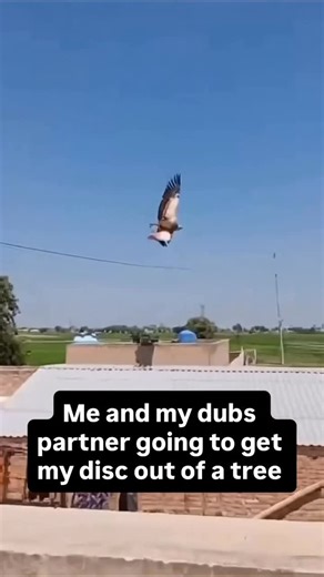 DIY DISC GOLF on Instagram: "Good thing I brought my grabber"