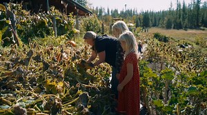 Register now for the FREE How to Homestead Anywhere Crash Course! Does homesteading feel out of reach? Does it seem impossible to start from your apartment, townhouse, or small yard? You’re not alone! That’s why I’m so excited to invite you to the How to Homestead Anywhere Crash Course. Join us in January as I go over how to start homesteading from wherever you are and create a more sustainable, independent lifestyle. Sign up now for free to secure your spot! | Homesteading Family