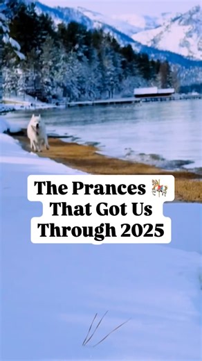 Fenix Lumiere, Your Happy Coach on Instagram: "Who was with us for every prance last year? And more importantly who’s gonna be with Fenix for every prance in 2026?! Fenix — the world famous Happy Dog has a neurological disorder called Cerebellar Hypoplasia which affects his coordination and balance. He’s not in any pain, has full life expectancy and is obvs 🙄 living his best life. Join his mission to help the world smile and overcome whatever life can throw at us in 2026… @fenixlumiere His #1 m