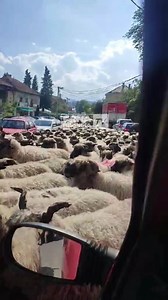 322K views · 6.9K reactions | Travnik Dolac na Lašvi | CRNA Hronika BIH | Facebook