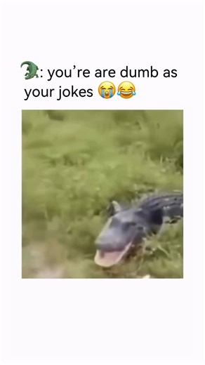 THE (The Humor Entertainment) on Instagram: "So-called “dumb jokes” work because they bypass intelligence and hit timing + absurdity instead. Your brain laughs not because the joke is smart, but because it doesn’t make sense where it shouldn’t. Psychologists call this benign violation theory — something feels wrong, unexpected, or stupid… but harmless. That confusion triggers laughter before logic can object. That’s why dad jokes, dry one-liners, and painfully obvious punchlines still land. The 