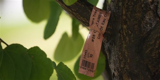 Eau Claire City Council passed city’s Century Code update