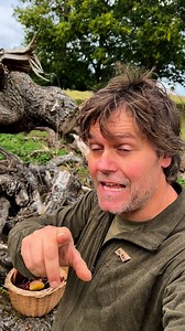 23K views · 275 reactions | 𢡄 SO MUCH Wild food  What have I got in my basket? Take a look. Want to learn for forage wild food for yourself? You can join us this Sunday for our Autumn Foraging Walk. Last few tickets available here: https://woodlandclassroom.com/event/autumn-foraging-walk-5/ | Woodland Classroom | Facebook