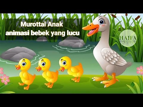 Murottal Anak animasi bebek yang menarik