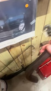 What is that? Let me know! #whatisthis | Red Beard Knife and Tool