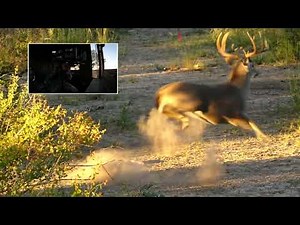TenPoint TX28 Crossbow On A Whitetail Hunt