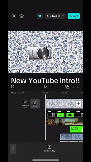 Creating an Engaging YouTube Intro