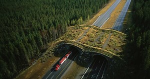 NOVA | Wild Ways | Season 43 | Episode 11