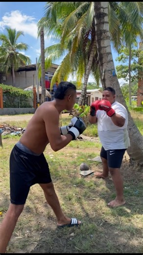 13K views · 309 reactions | El Memo  El papi pesado 藍藍 #boxeo | El MEMO LLEGO | Facebook