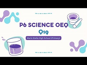 PSLE SCIENCE | EP2 | P6 Energy | Energy Conversion | MSHS(P) 2024 OEQ Q19