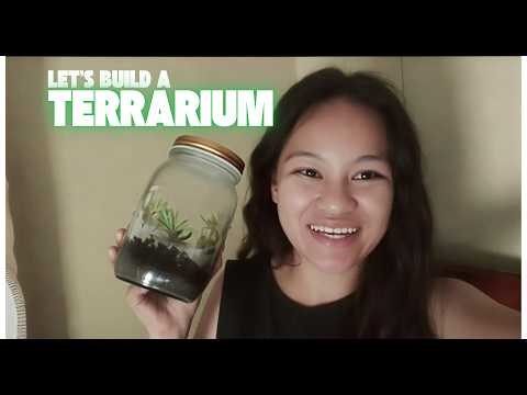 Let's Build a Terrarium!
