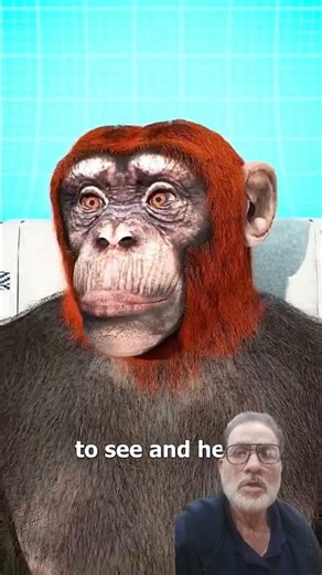 Monkey Head Transplant 🙈 (explained)