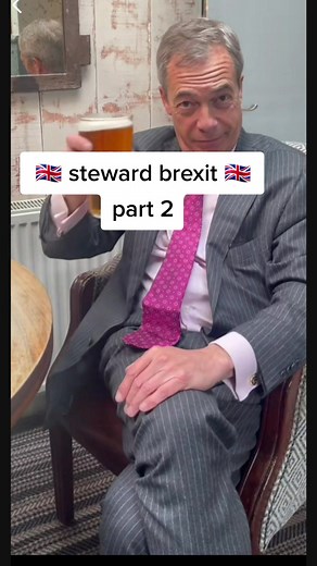 ref, its all ball #brexit #football #steward #funny #kg #foryoupage #fyp