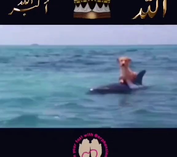 Dance Off Challenge with Eye-catching Moves