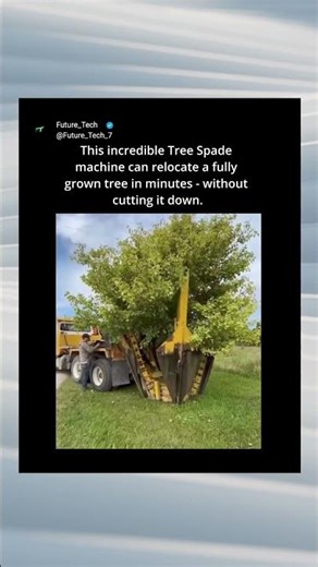Relocating a Fully Grown Tree in MINUTES! 🤯🌲#shorts #shortsfeed