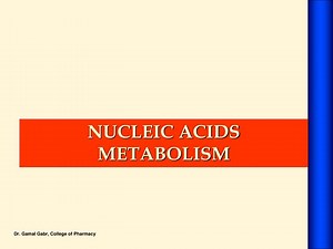 Nucleic acids metabolism - SlideServe