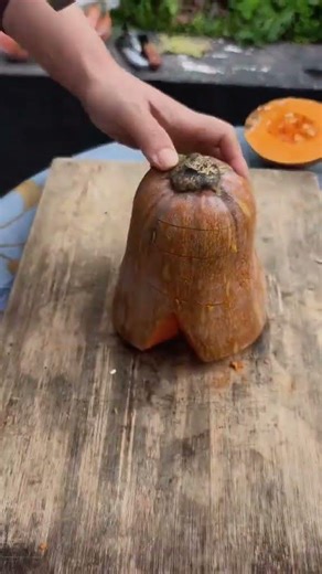 TL 71002001 mini rotary tillage and ridging all-in two hundred seventy five tree 🌴