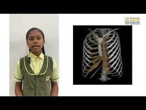 "Grade 5 Science: Skeletal System
