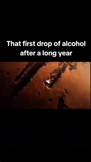 The Joy of Tasting Alcohol After a Long Year