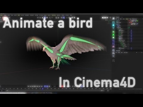 How to animate a bird in c4D (Very smooth!)