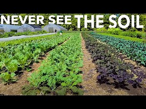 Growing Healthy Soil (and Keeping it That Way) at Frith Farm