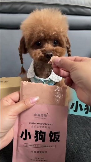 A delicious and nutritious raw-meat-and-bone meal for puppies—nutritious and satisfying.