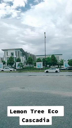 Lemon tree eco cascadia on TikTok