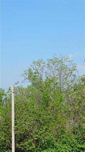 Save Today, Seether #song #music #usa #johnny #beautiful