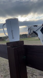 1.4K views · 45 reactions | We’ll never get over that fresh morning coffee feeling ☀️☕️ Try our American Classic blend – available now. #coffee #americancoffee #mediumroast #morningroutine #communitycoffee | Community Coffee | Facebook