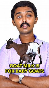 617K views · 7.6K reactions | Cow's make milk for humans? 樂 | Sai Vignesh | Facebook