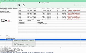 Dependency Walker for Mac(PE模块分析工具)