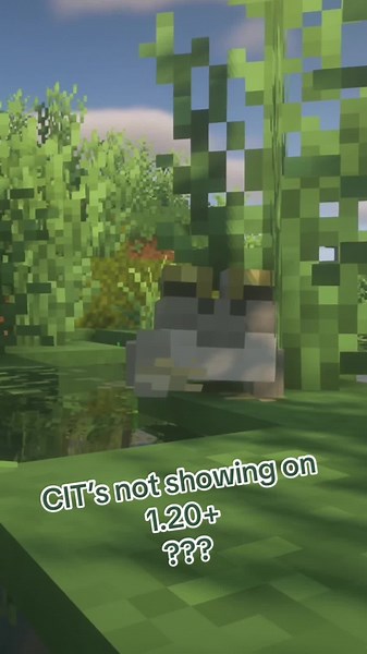CIT Fix for Minecraft 1.20 Versions: Quick Guide