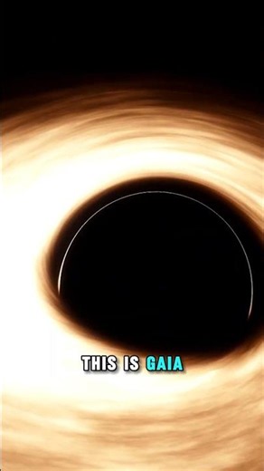 What If You Visited Every Type Of Black Hole? #BlackHole #Science #Space #Shorts