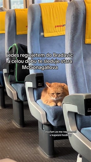 Cesta RegioJetem do Bradavic s McGonagallovou