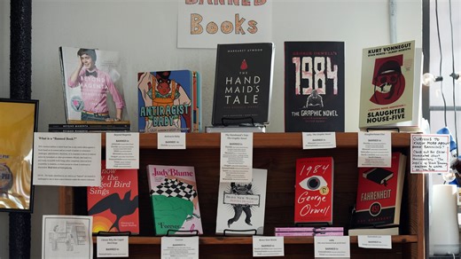 Board fires Pickens library director following book policy changes