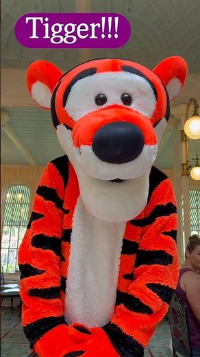 Best! Tigger! Disney World! #tigger #disney #shortvideo
