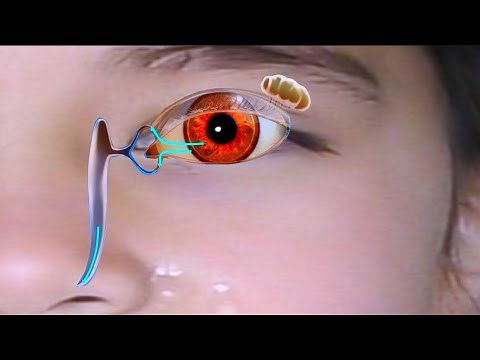 Why the Nose Runs When You Cry (and What Happens with a Blocked Tear Duct)