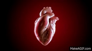 3d animated human heart on Make a GIF