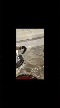 Bialetti Moka Express – Iconic Stovetop Espresso Maker, 3-Cup (4.3 oz), Italian Coffee