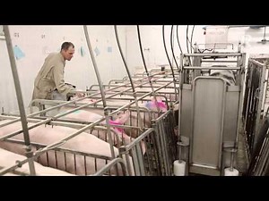 Contact-O-Max version 5:57 min