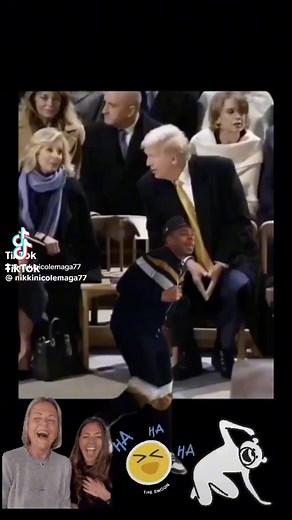 GET HIM GIRL! GET HIM! | Ed Green